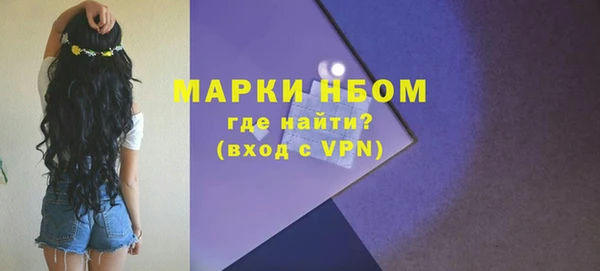 хмурый Горно-Алтайск