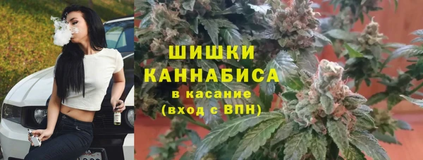 хмурый Горно-Алтайск