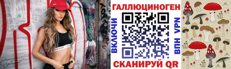 Галлюциногенные грибы Psilocybine cubensis Ленск